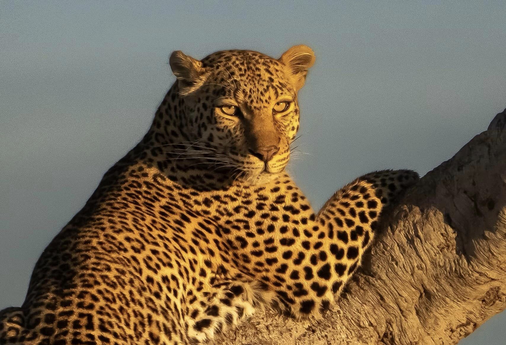 How Expensive Is a Kidepo Safari