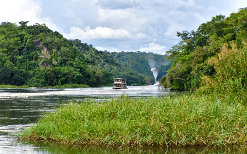 Uganda Safaris