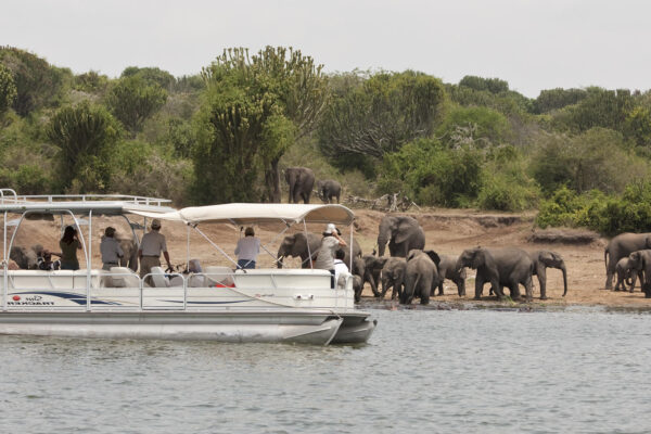 Queen Elizabeth National Park