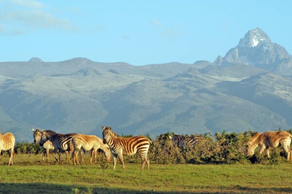 Mount-Kenya-National-Park
