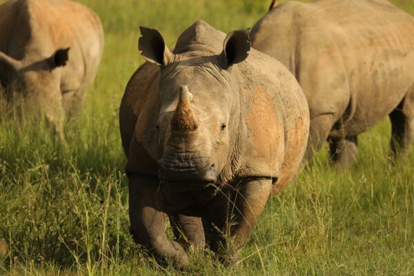 9-Day Tanzania Adventure Safari