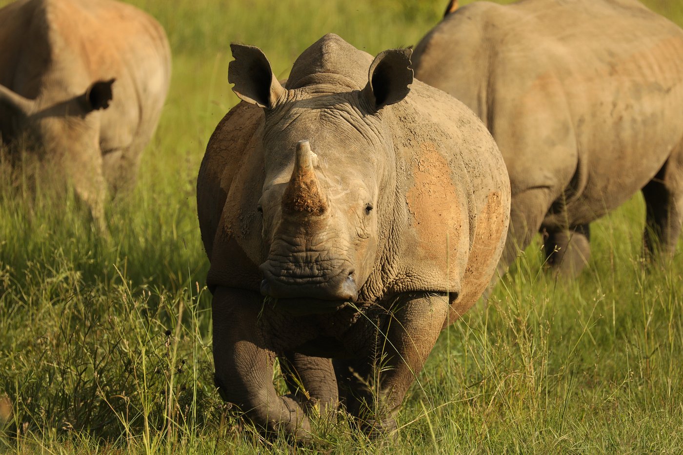 9-Day Tanzania Adventure Safari
