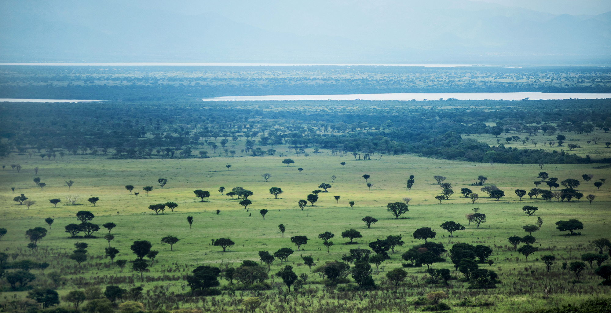 Queen Elizabeth National Park