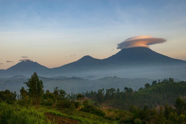 View into the mountain range of the Virunga Volcanoes, a line of 8 volcanoes in the area of the border-triangle between Rwanda, Uganda and the DR Congo. 

Left: Mount Bisoke (3711 m)
Middle: Mount Muhabura (4127m)
Right: Mount Gahinga (3474 m)

The Virunga Volcanoes are home of the critically endangered mountain gorilla (gorilla beringei beringei), listed on the IUCN Red List of Endangered Species due to habitat loss, poaching, disease, and war.