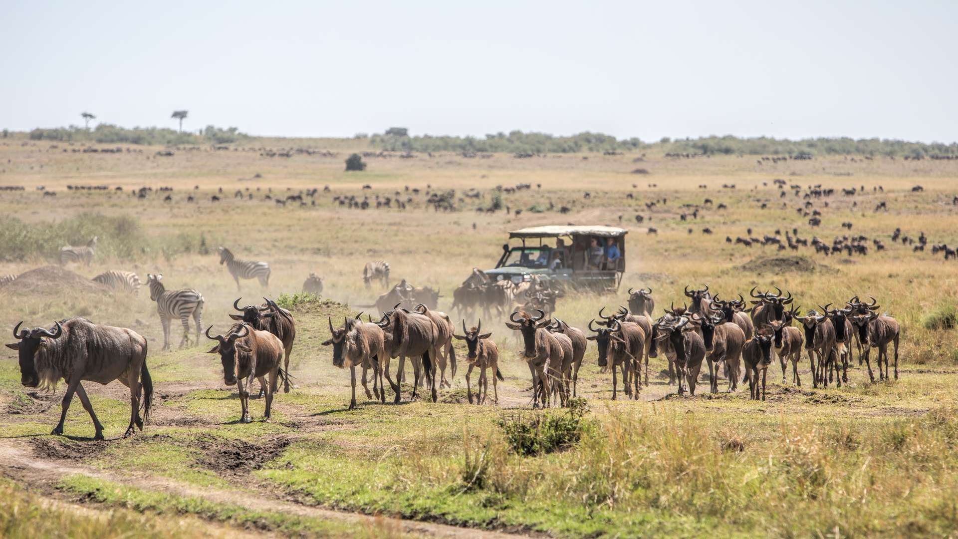 Long Kenya Safaris