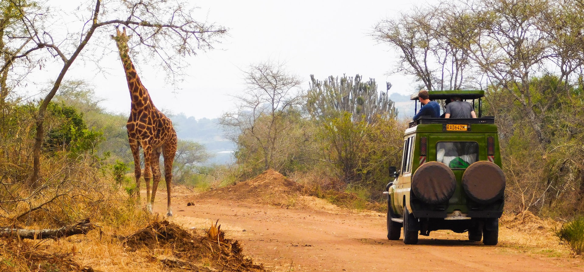 Short Rwanda Safaris
