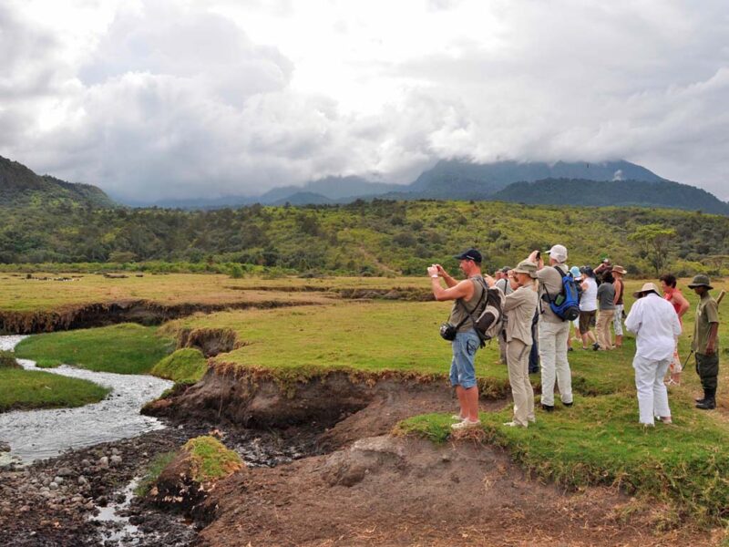 11-Day Tanzania & Zanzibar Safari Adventure