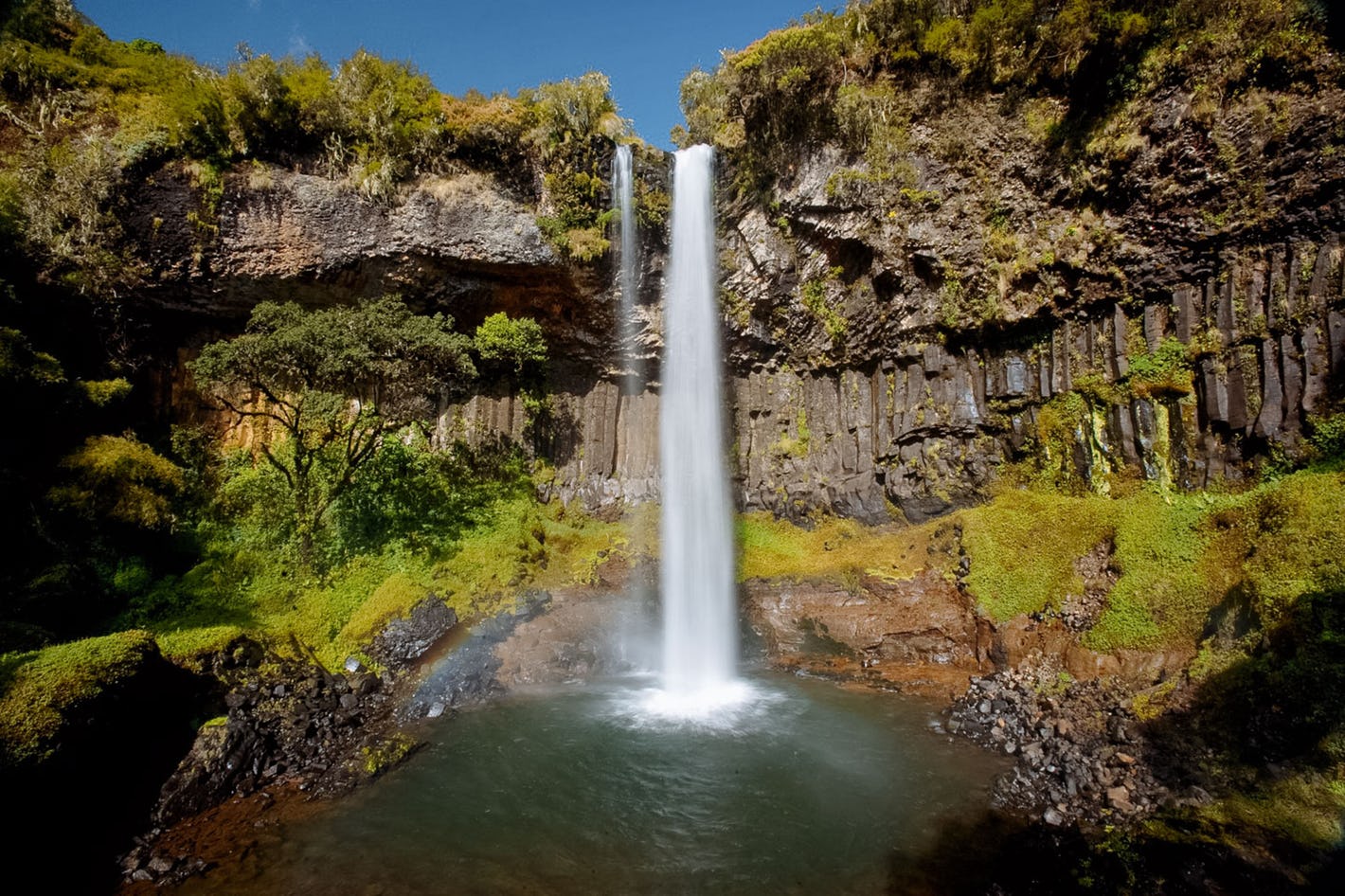 Aberdare National Park 