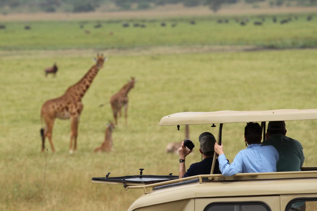 Rwanda Wildlife Safaris