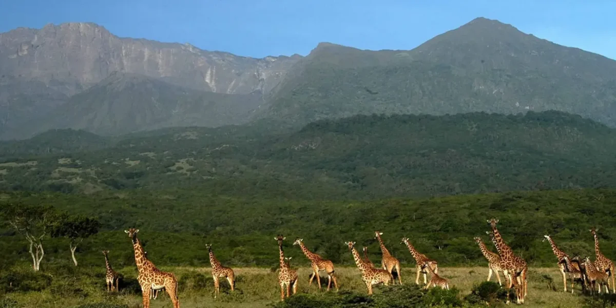 Arusha National Park