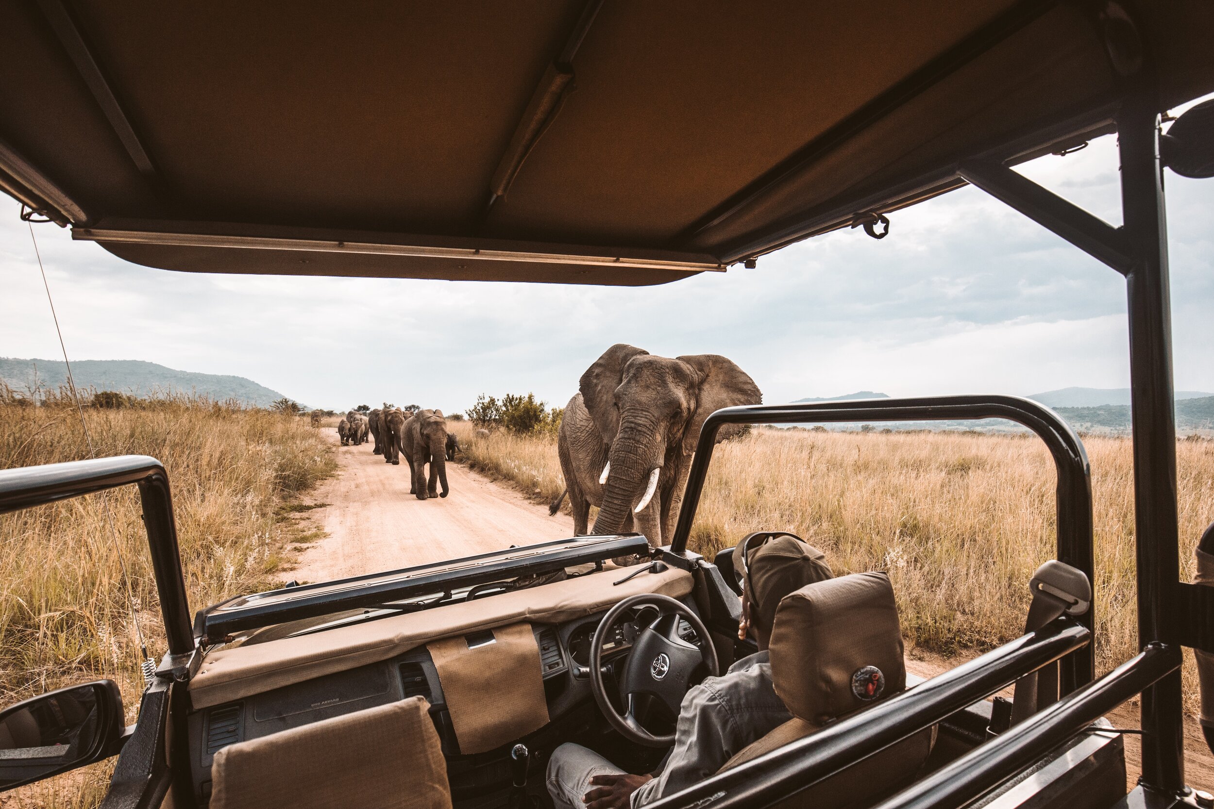 Game Drive Safaris