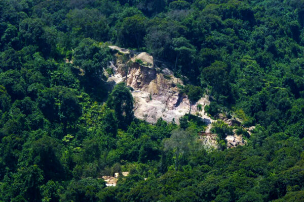 Gishwati-Mukura National Park