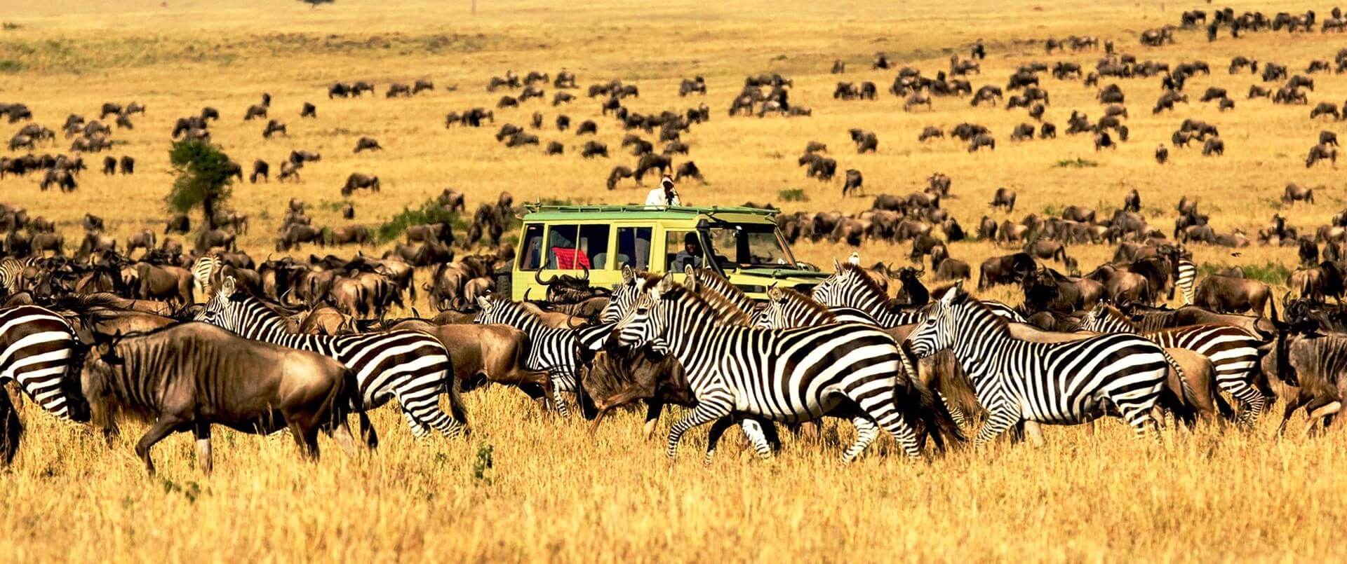 Masai Mara Luxury Fly-In Safari