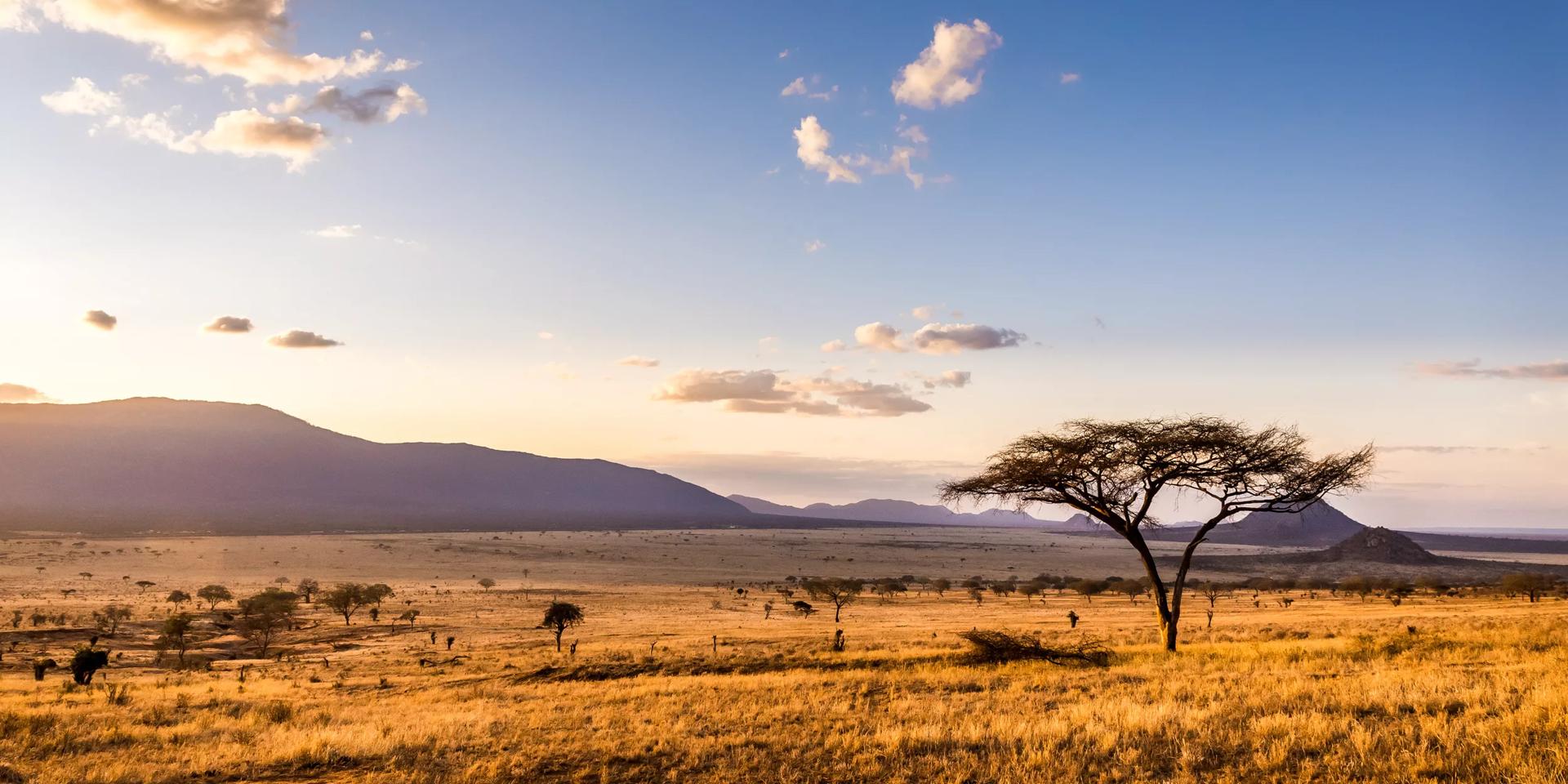Africa Safaris