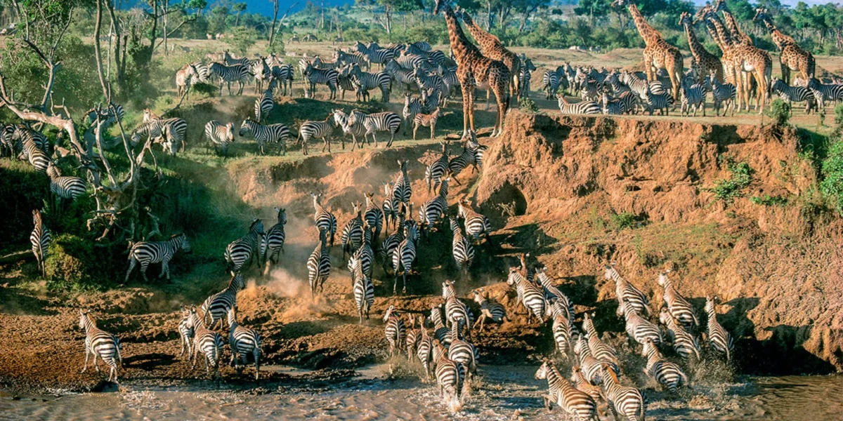 5-Day Kenya Wildlife Budget Safari