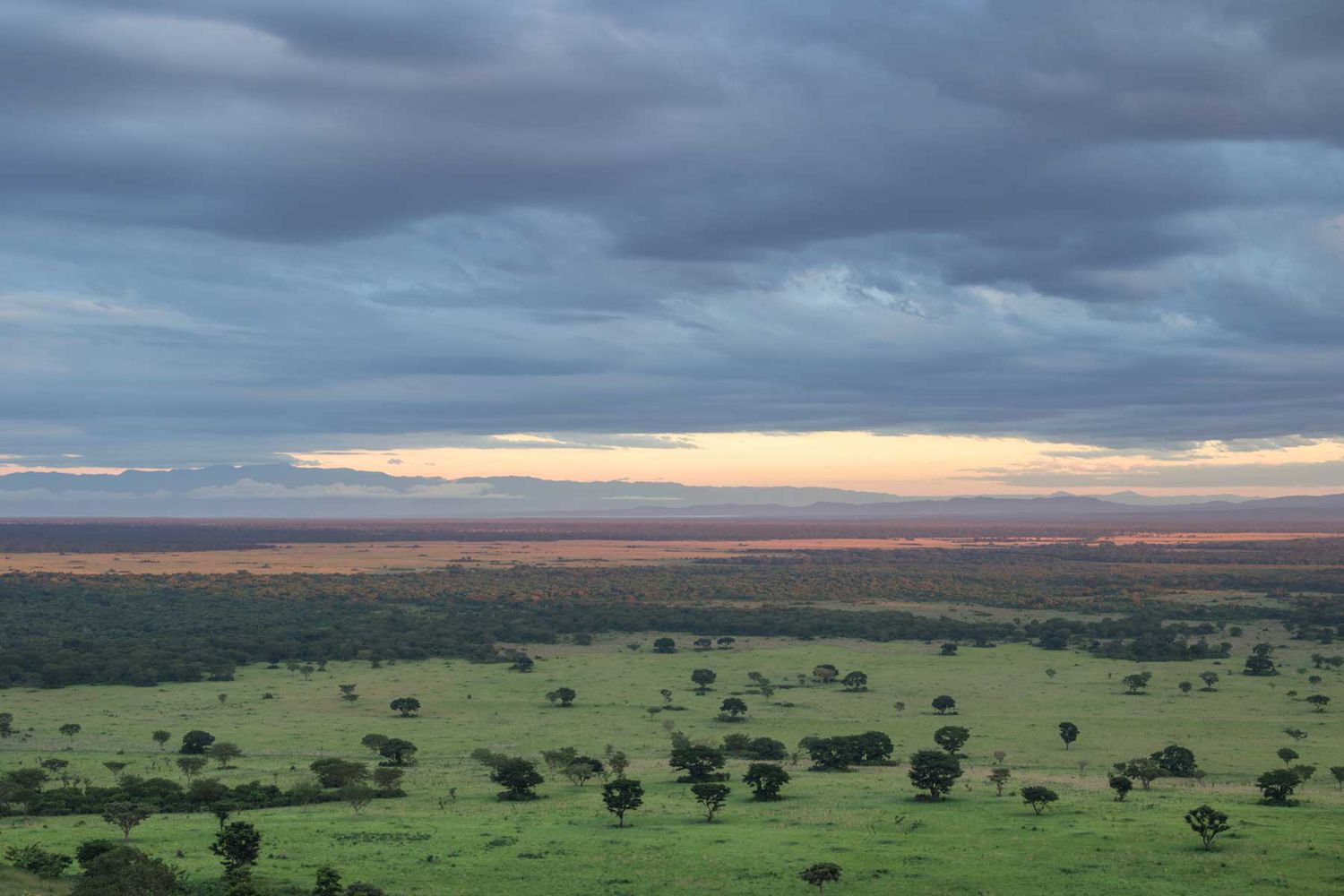Uganda National Parks