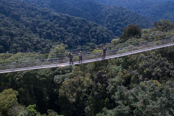 Rwanda National Parks