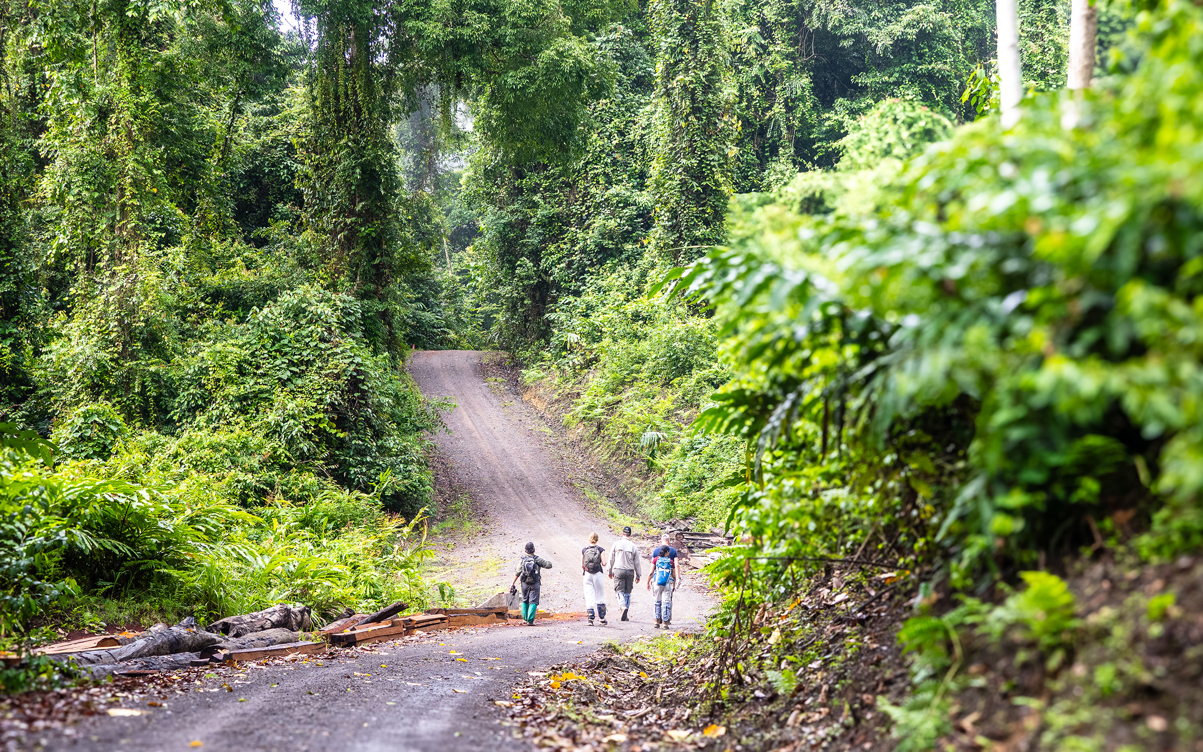 Our Safari Tours