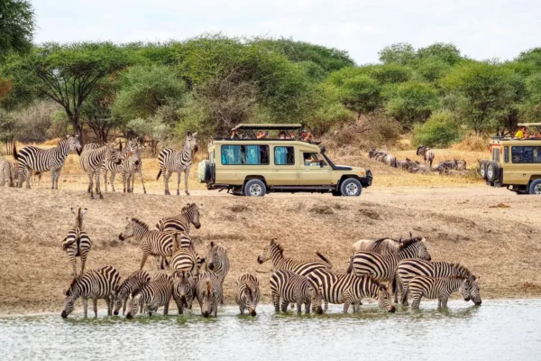 7-Day Tanzania Wildlife Safari