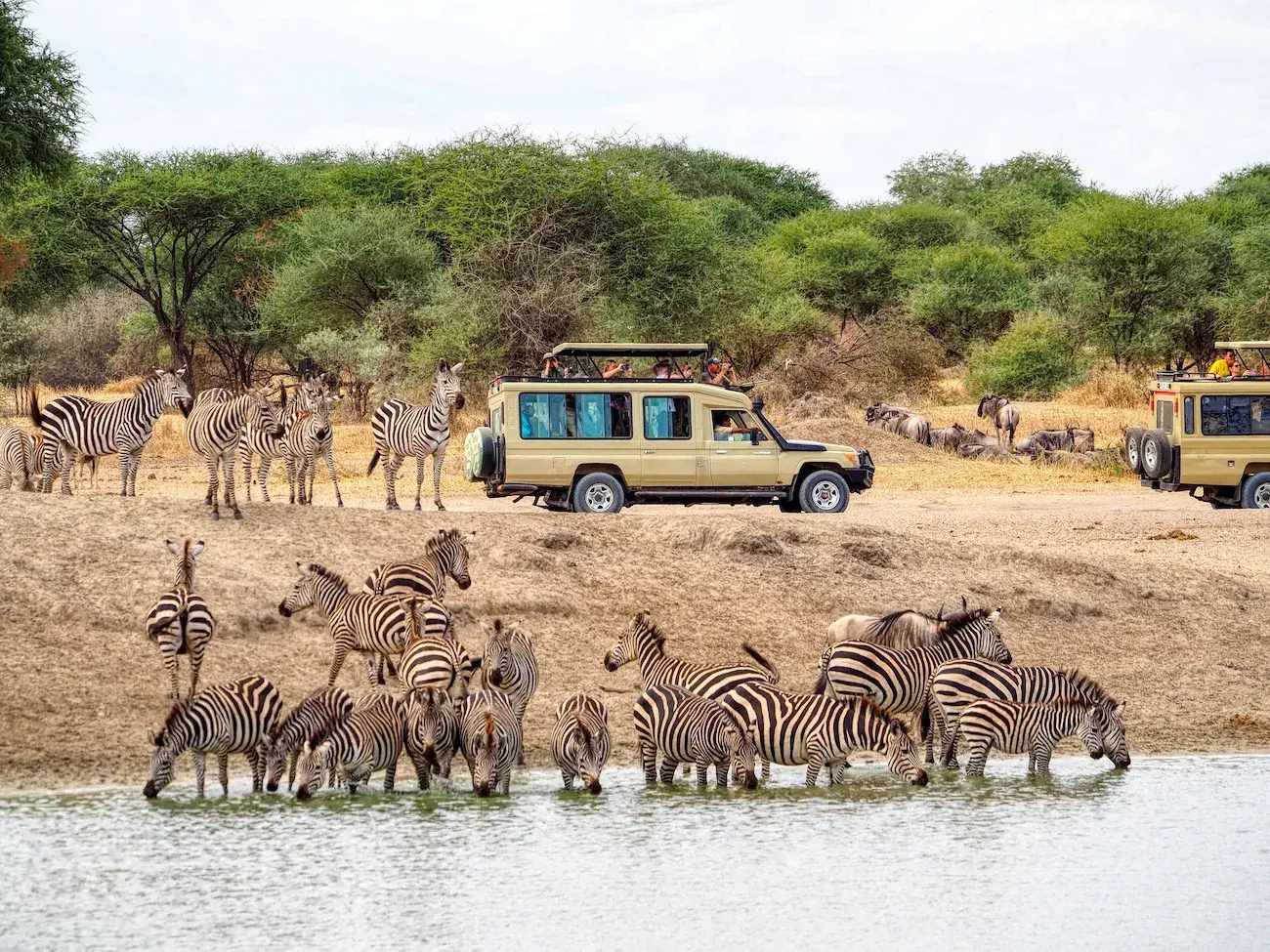 Short Tanzania Safaris