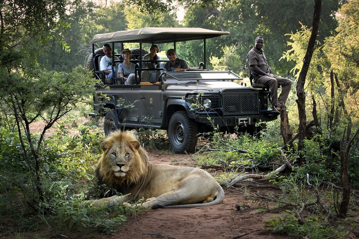 Africa Safari Experiences