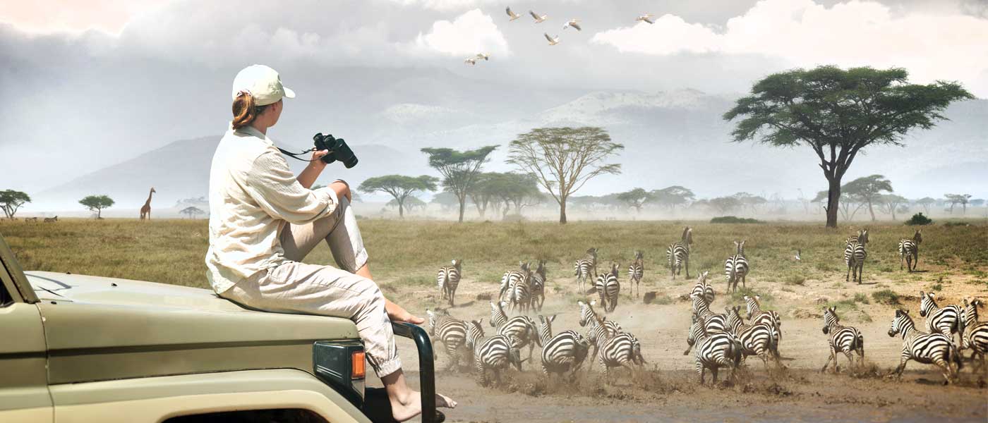 9-Day Tanzania Wildlife Safari Adventure