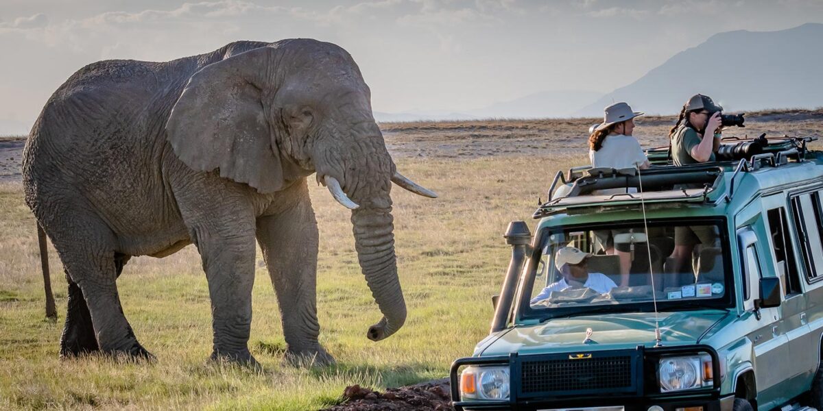 Uganda Day Safaris