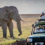 Uganda Day Safaris