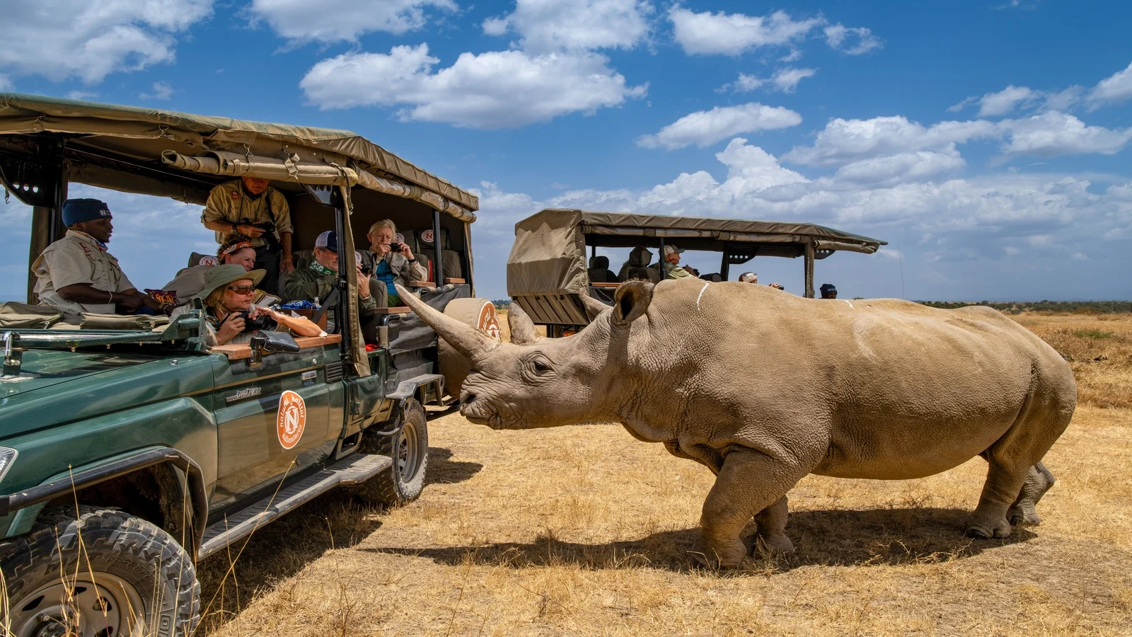 Adventures in Kenya and Tanzania