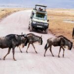 7-Day Kenya Wildlife Safari