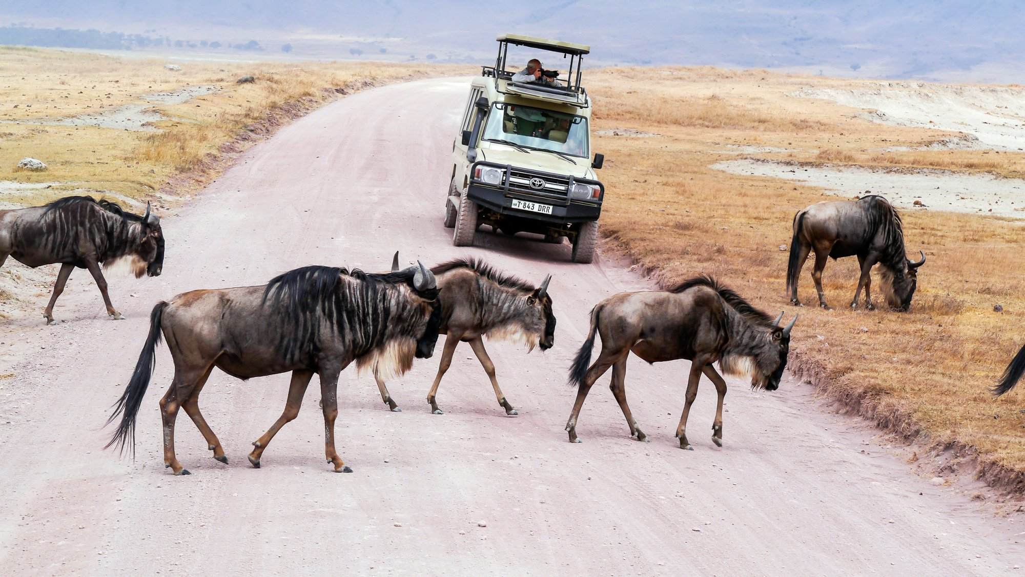 Ecological Significance and Sustainable Tourism in Ngorongoro