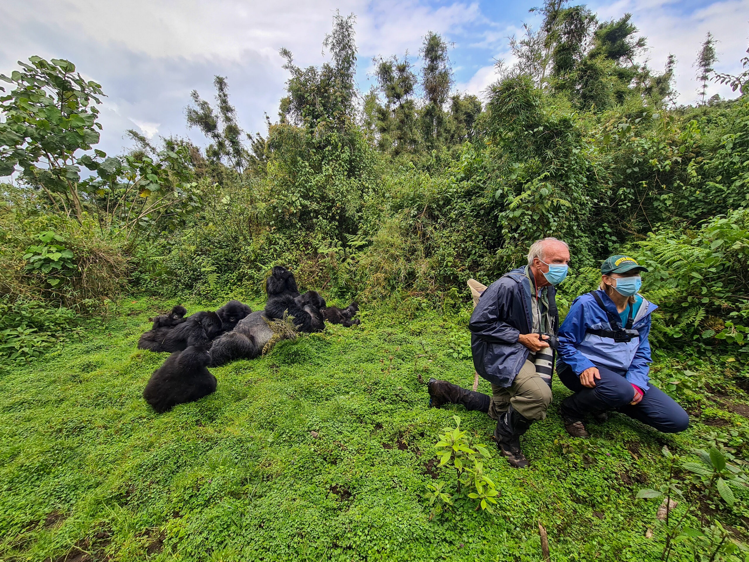 Gorilla trekking