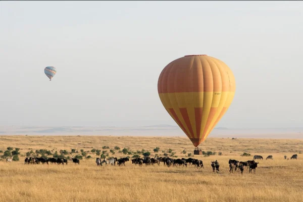 10-Day Tanzania Wildlife Safari & Zanzibar