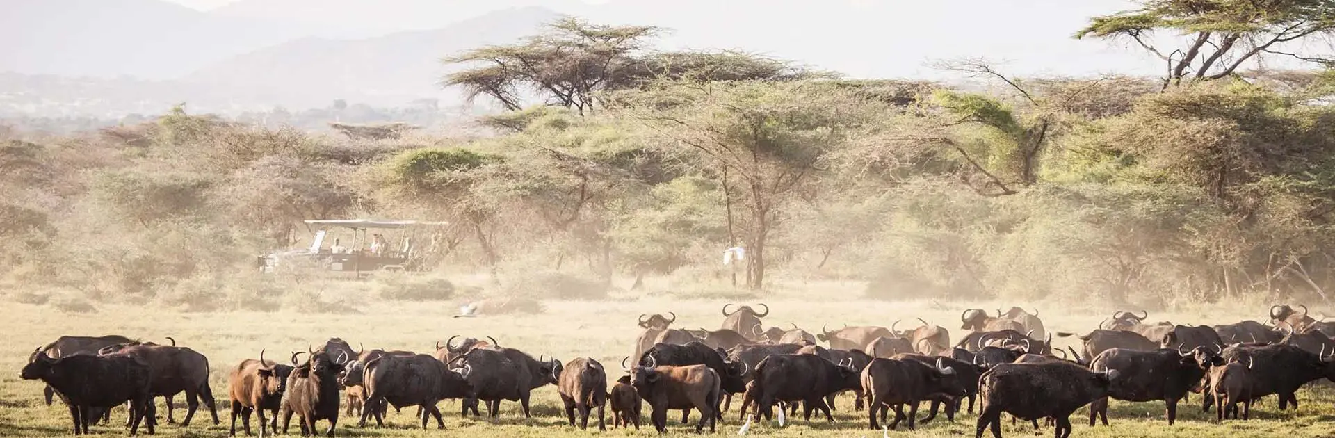 10-Day Best Tanzania Honeymoon