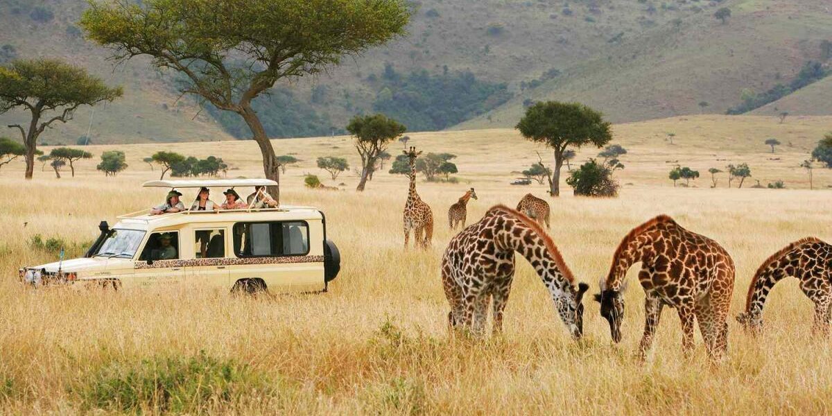 7-Day Kenya Wildlife Budget Safari