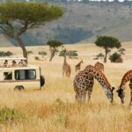 7-Day Kenya Wildlife Budget Safari