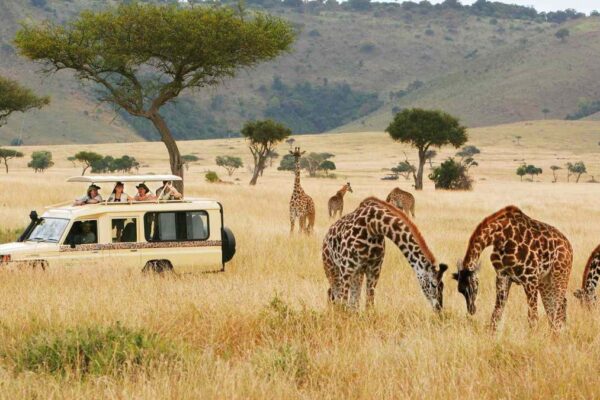 7-Day Kenya Wildlife Budget Safari