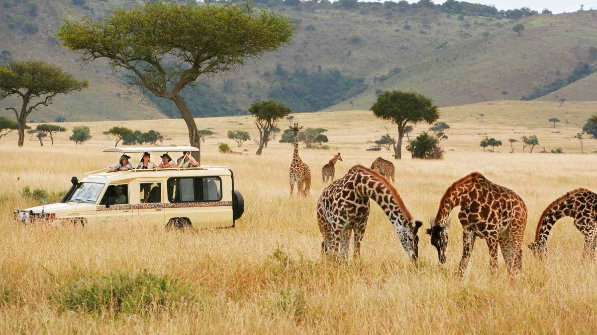 7-Day Kenya Wildlife Budget Safari