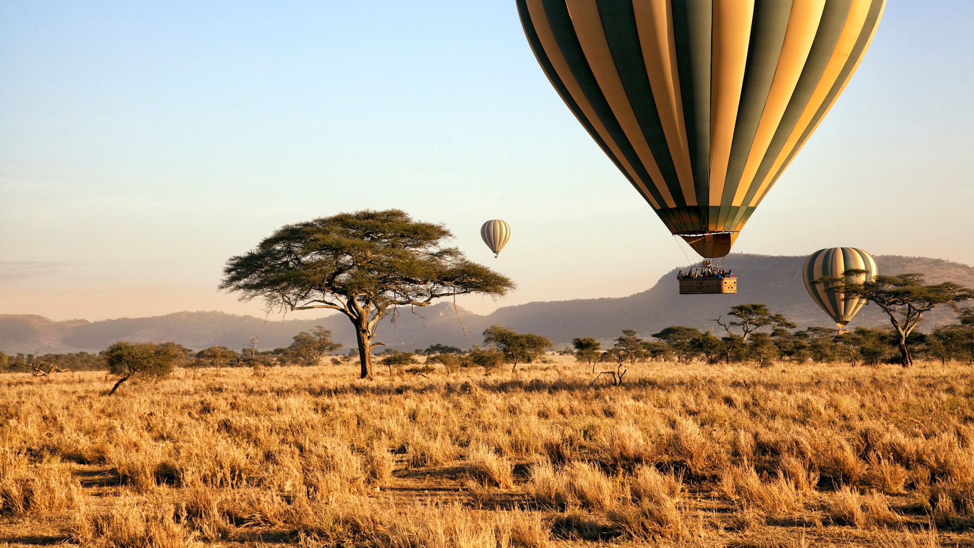 Tanzania Safaris