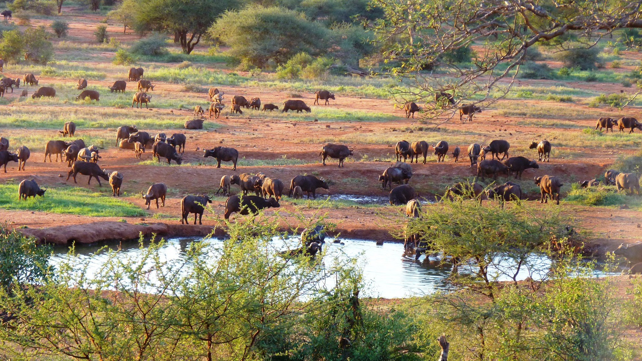 9-Day Unforgettable Kenya Game Drive Safari