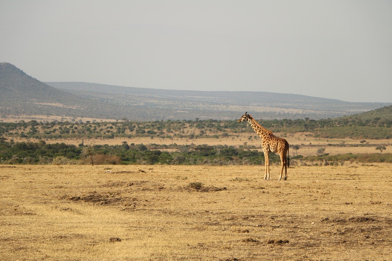 Ultimate East African Adventure