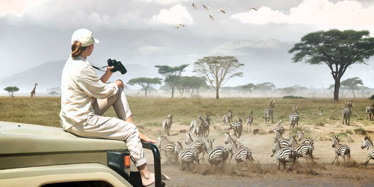 Wildlife Safaris