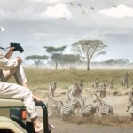 Wildlife Safaris