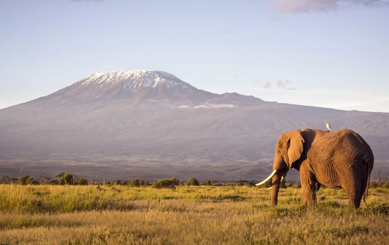 Best Time for Long Tanzania Safaris