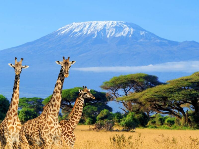 What Are the Best Places to Visit in Kenya?