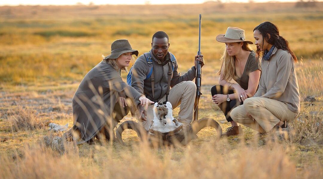 Are English-speaking safari guides available in Kenya and Tanzania?