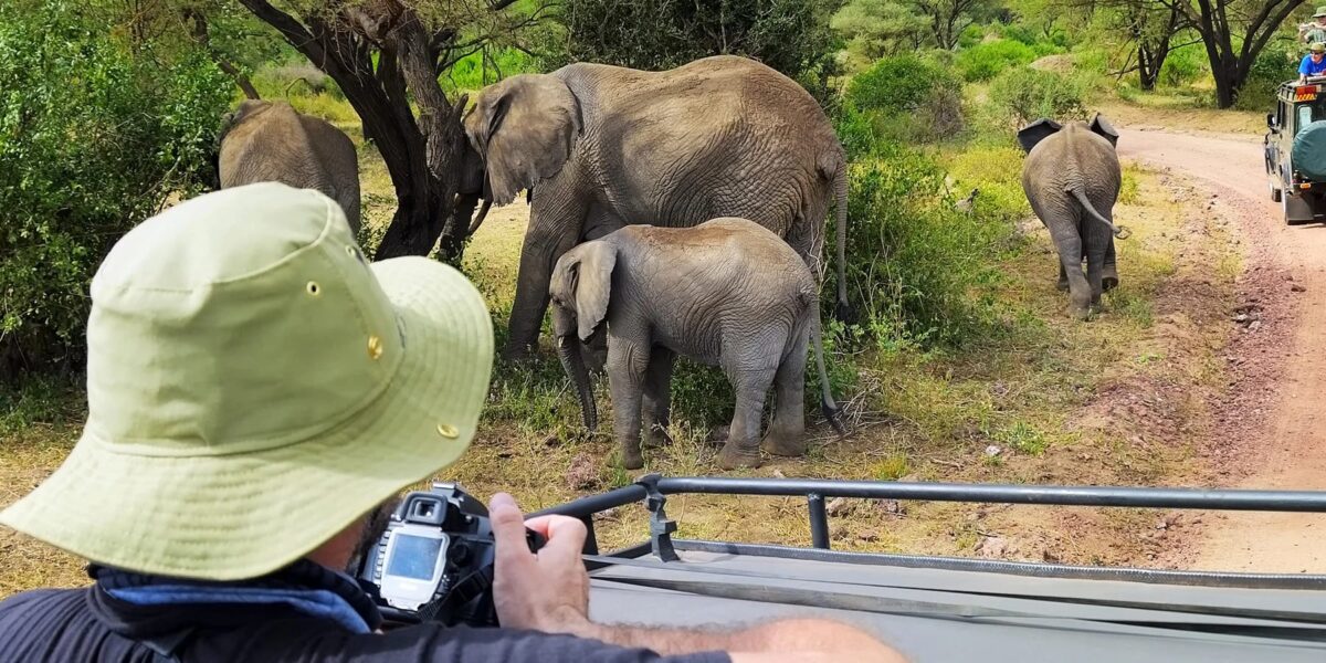 Are Kenya and Tanzania Good Destinations for First-Time Safari Travelers?