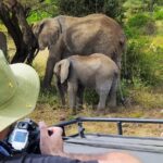 Are Kenya and Tanzania Good Destinations for First-Time Safari Travelers?