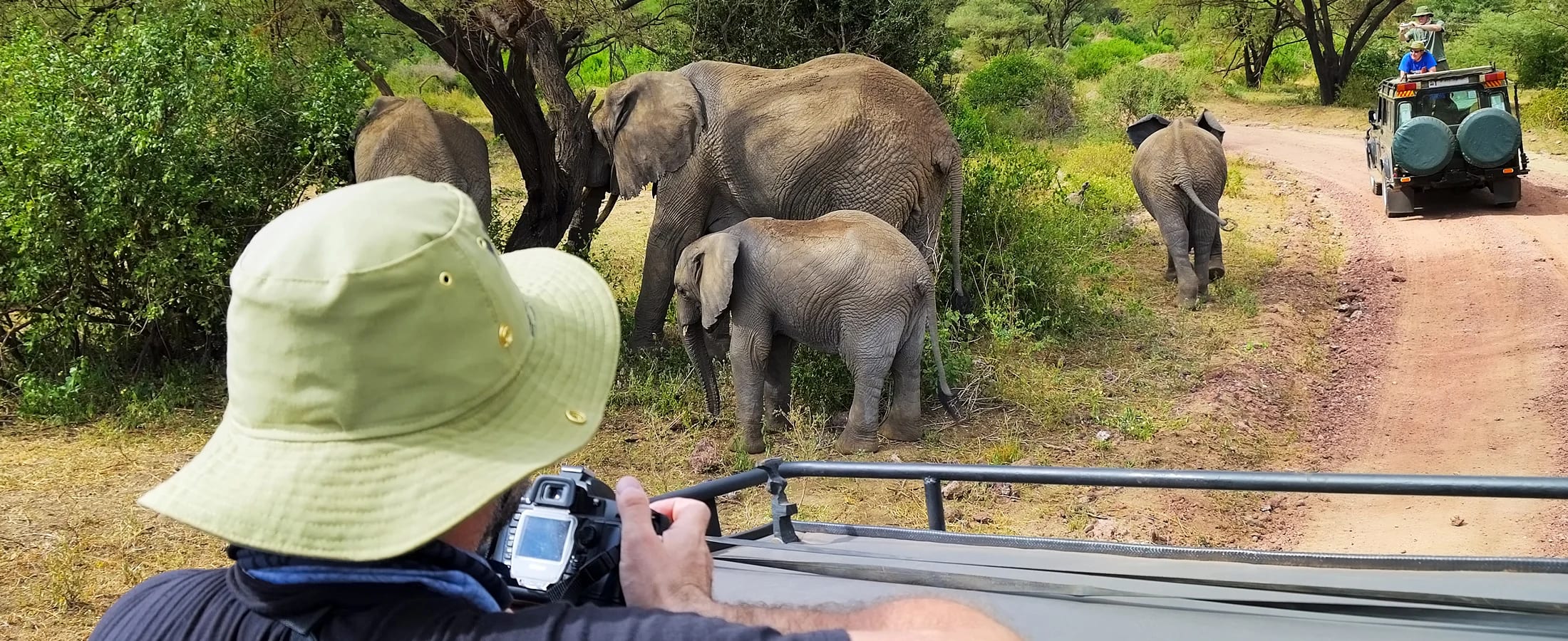 Are Kenya and Tanzania Good Destinations for First-Time Safari Travelers?