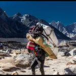 Are Porters Available During Long Hikes